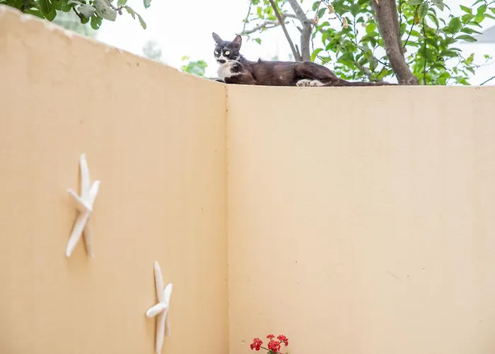 Lägenhet Melissa Naxos *