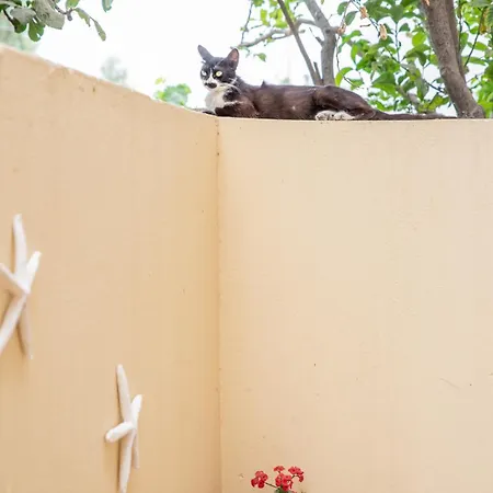 Apartamento Melissa Naxos *